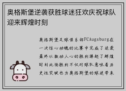 奥格斯堡逆袭获胜球迷狂欢庆祝球队迎来辉煌时刻